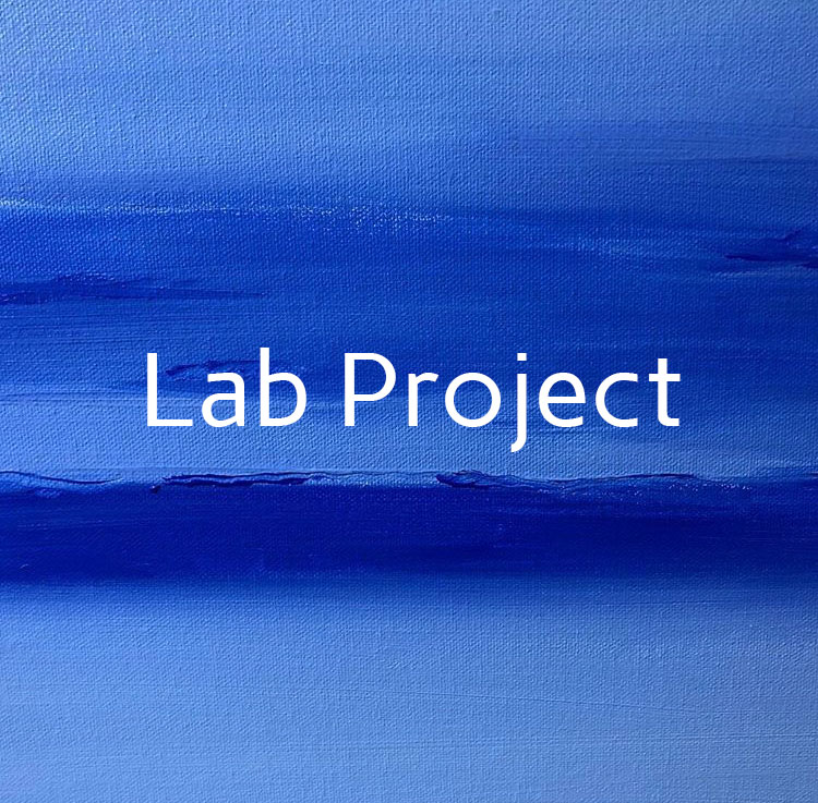 LAB-LABproject